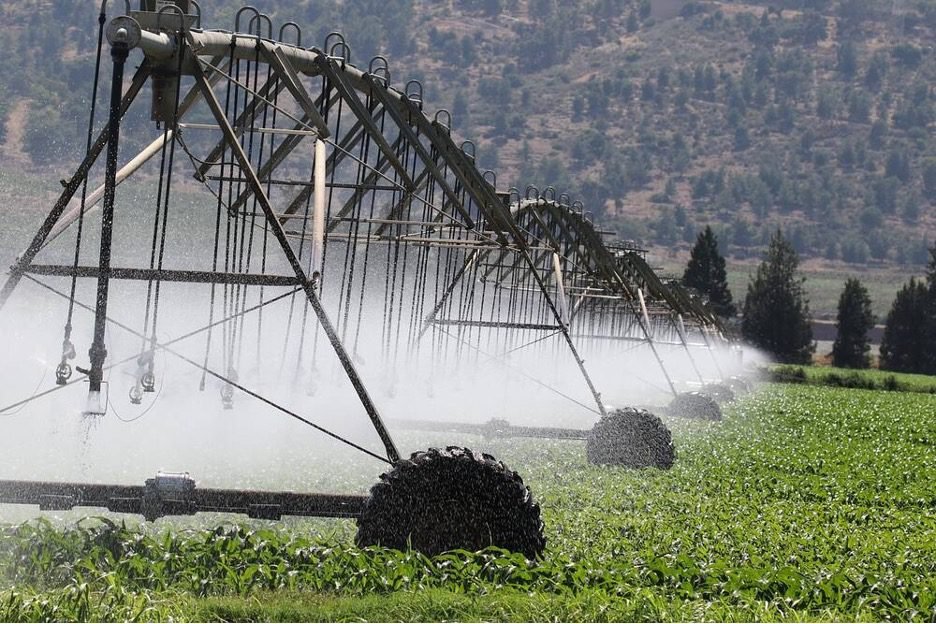 Farmer using a modern irrigation system to efficiently water agricultural crops 